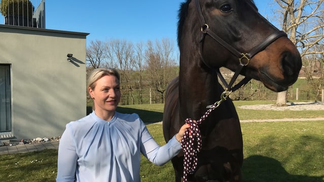 Eine Frau hält ein Pferd am Zügel. Eine Frau hält ein Pferd am Zügel.