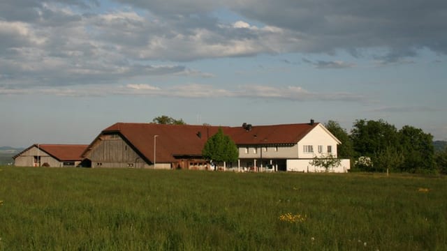 Ein grüne Wiese und im Hintergrund ein Haus Ein grüne Wiese und im Hintergrund ein Haus