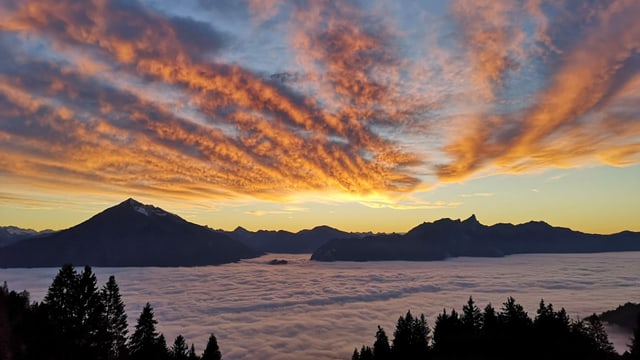 Blick von Sigriswil auf das Nebelmeer, dahinter der Niesen im Abendlicht. Blick von Sigriswil auf das Nebelmeer, dahinter der Niesen im Abendlicht.