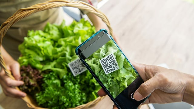 Jemand scannt einen QR-Codes. Jemand scannt einen QR-Codes.