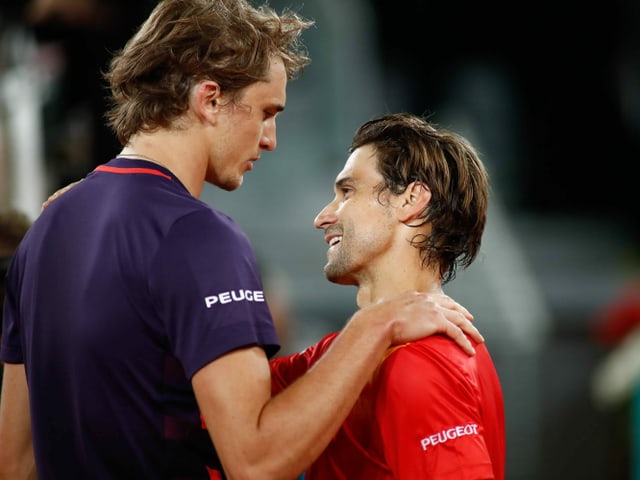 Zverev Ferrer Zverev Ferrer