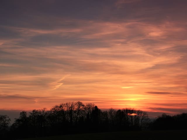 Himmelsansicht mit Abendrot und Schleierwolken. Im Vordergrund dunkle Bäume.