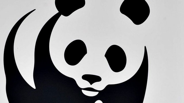 Logo des WFF Logo des WFF