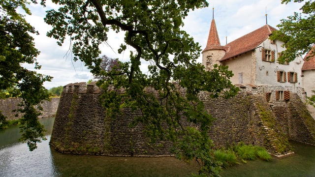 Schloss Hallwyl Schloss Hallwyl