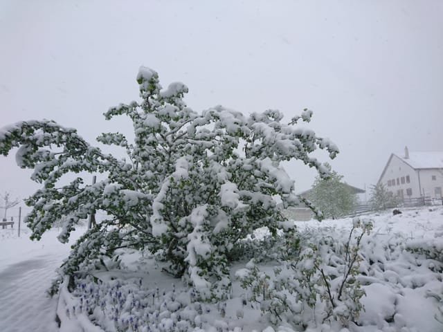 Tief verschneite Landschaft