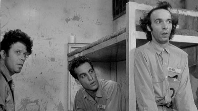 Brachte uns in den 80er-Jahren zum Lachen: «Down by Law». Brachte uns in den 80er-Jahren zum Lachen: «Down by Law».