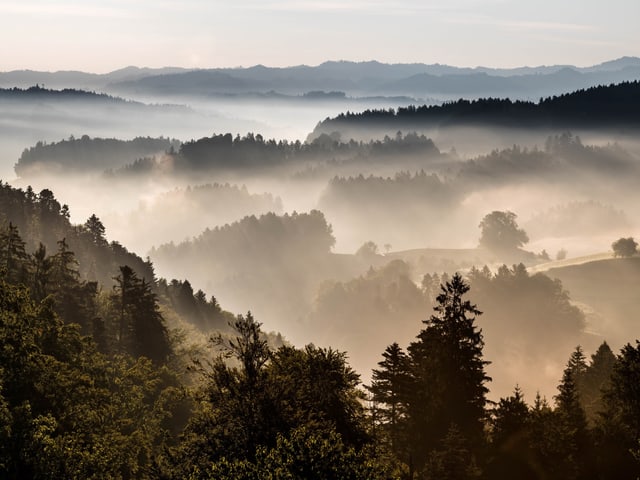 Hügelige Landschaft mit Morgennebel Hügelige Landschaft mit Morgennebel