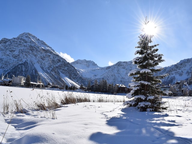 Schneelandschaft.