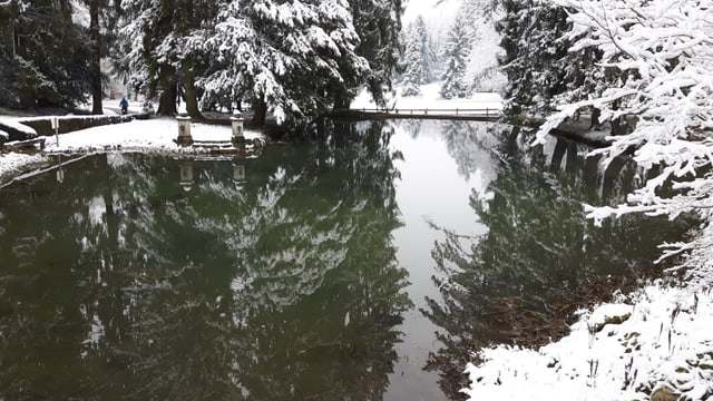 Angezuckerte Landschaft an einem Weiher bei Riehen. Angezuckerte Landschaft an einem Weiher bei Riehen.