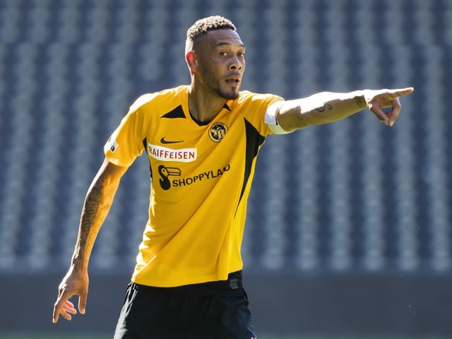 Ex-YB-Stürmer Guillaume Hoarau schliesst sich Sion an. Ex-YB-Stürmer Guillaume Hoarau schliesst sich Sion an.