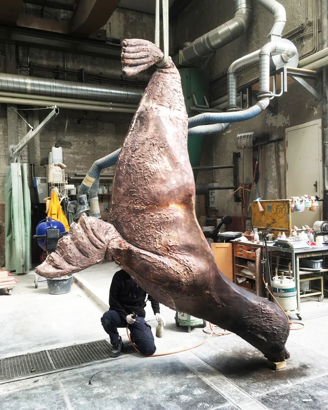 Überlebensgrosse Robbe aus Bronze hängt in Halle. Überlebensgrosse Robbe aus Bronze hängt in Halle.