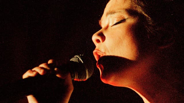 Wiesendanger über Björk