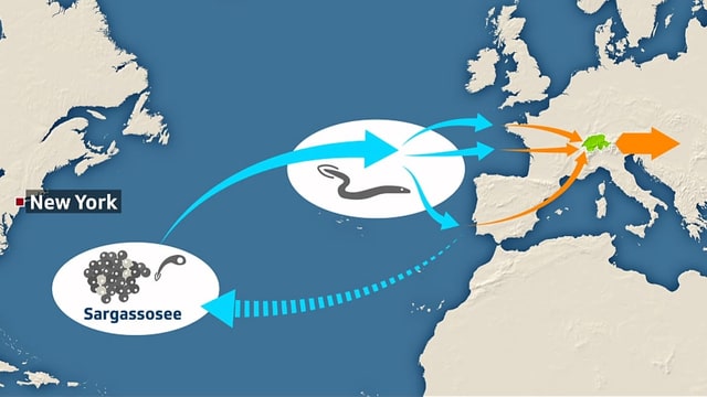 Karte Atlantik und Europa. Karte Atlantik und Europa.