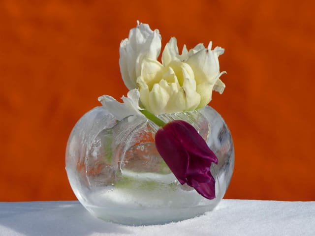 Vase aus Eis