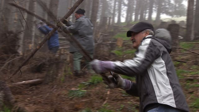 Arbeiter im Wald Arbeiter im Wald