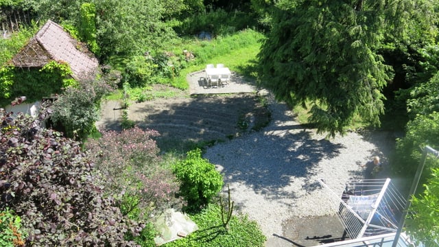 Blick in den Garten von oben Blick in den Garten von oben