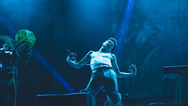Perfume Genius Perfume Genius