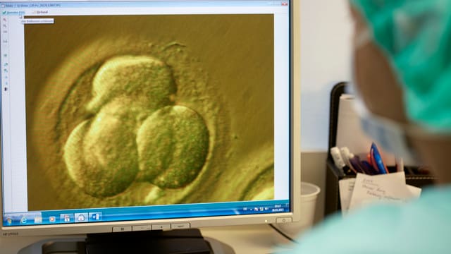 Befruchtete Eizellen werden in flüssigem Stickstoff eingelegt. Befruchtete Eizellen werden in flüssigem Stickstoff eingelegt.