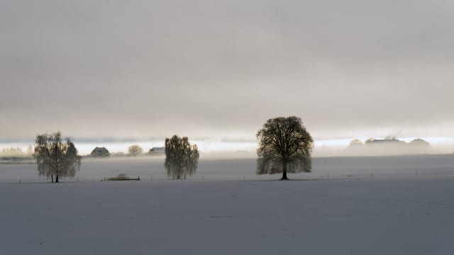 Blick über ein verschneites Feld in Konolfingen, knapp unter der Nebelschicht. Am Horizont ein kleiner Lichtstreifen. Blick über ein verschneites Feld in Konolfingen, knapp unter der Nebelschicht. Am Horizont ein kleiner Lichtstreifen.