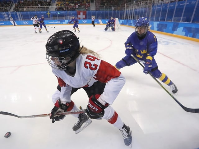 Die Schweiz wird auch in Calgary wieder auf Schweden treffen (Archiv). Die Schweiz wird auch in Calgary wieder auf Schweden treffen (Archiv).