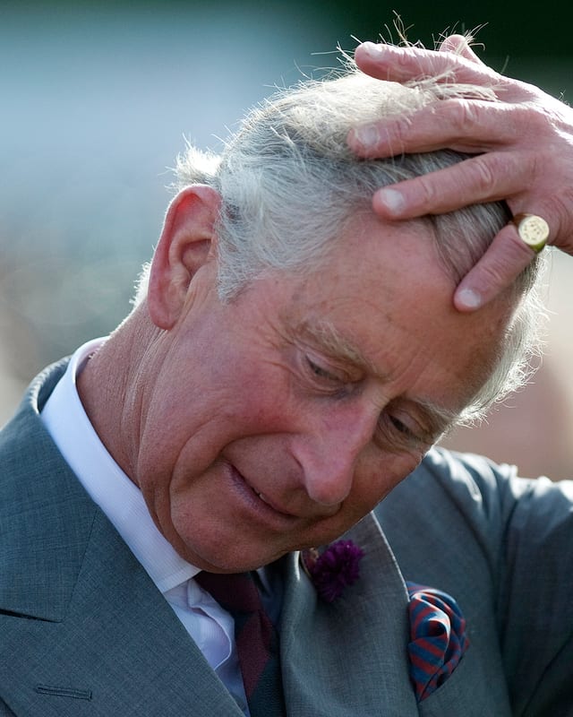Prinz Charles Prinz Charles