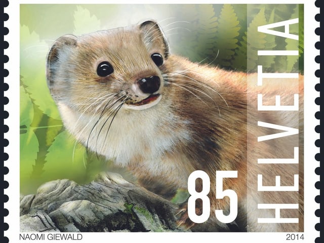 85er-Briefmarke mit gezeichnetem Wiesel 85er-Briefmarke mit gezeichnetem Wiesel