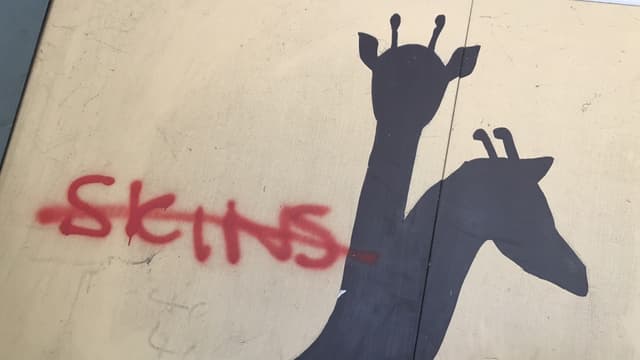 No Skins - Graffiti beim Bahnhof Langenthal No Skins - Graffiti beim Bahnhof Langenthal