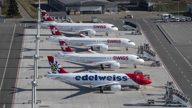 Swiss und Edelweiss. Swiss und Edelweiss.