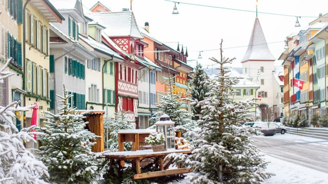 Altstadt mit etwas Neuschnee, verschneite Christbäume im Vordergrund. Altstadt mit etwas Neuschnee, verschneite Christbäume im Vordergrund.