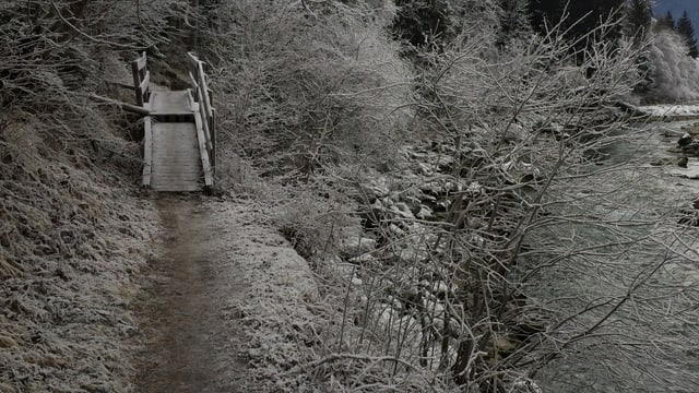 Ina punt per il peduns sper il Rain en la Ruinaulta Ina punt per il peduns sper il Rain en la Ruinaulta