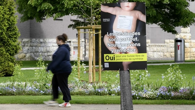 Aggressiver Abstimmungskampf Wieso Wird Der Abstimmungskampf Immer Gehassiger Herr Longchamp News Srf