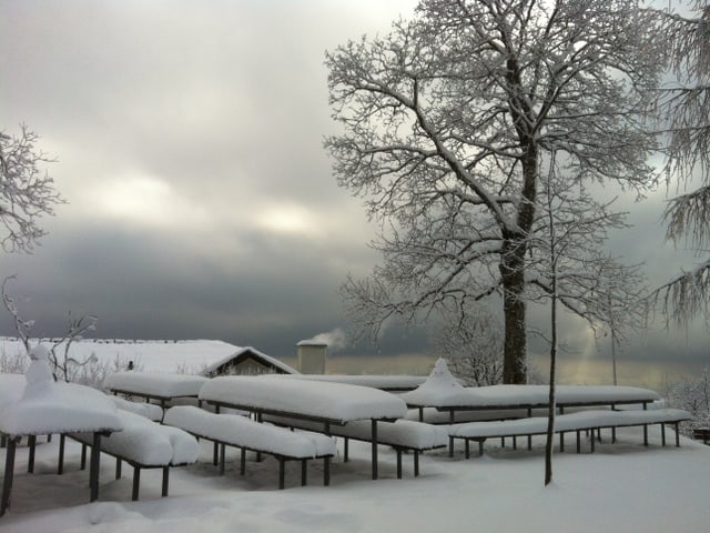 Schnee auf dem Bachtel Kulm.