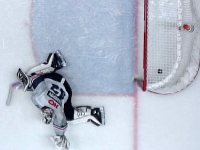Puck im Tor Puck im Tor