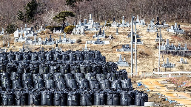 Ein Depot mit schwarzen Plastiksäcken. In ihnen lagert radioaktive Erde aus der Region des japanischen Kernkraftwerks Dai-ichi in Fukushima. Ein Depot mit schwarzen Plastiksäcken. In ihnen lagert radioaktive Erde aus der Region des japanischen Kernkraftwerks Dai-ichi in Fukushima.
