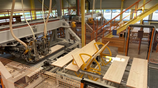 Sägewerk-Laufband mit Schalungsplatten Sägewerk-Laufband mit Schalungsplatten