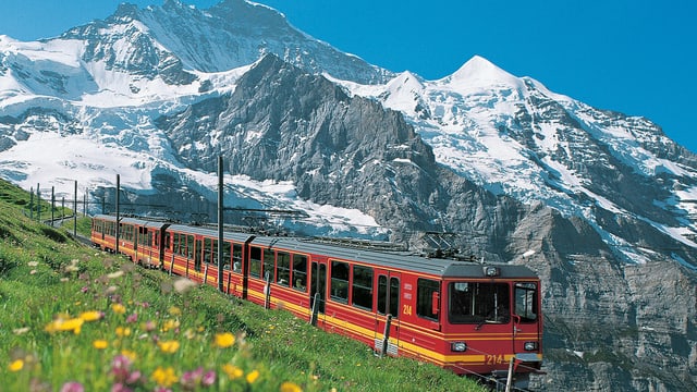 Die Jungfraubahn neben einer grünen Wiese. Die Jungfraubahn neben einer grünen Wiese.