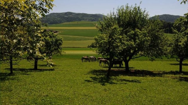 Der Hof Wisechen wäre vom Deponie-Standort betroffen. Der Hof Wisechen wäre vom Deponie-Standort betroffen.