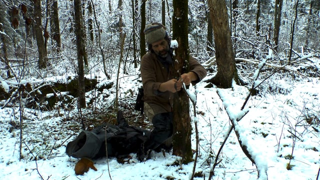 Reno Sommerhalder montiert eine Wildtierkamera im ussurischen Wald. Reno Sommerhalder montiert eine Wildtierkamera im ussurischen Wald.