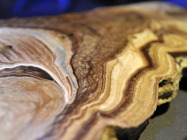 Ein Stalagmit - man sieht wie bei einem Baum die Jahrringe verschieden gefärbte Schichten. Ein Stalagmit - man sieht wie bei einem Baum die Jahrringe verschieden gefärbte Schichten.