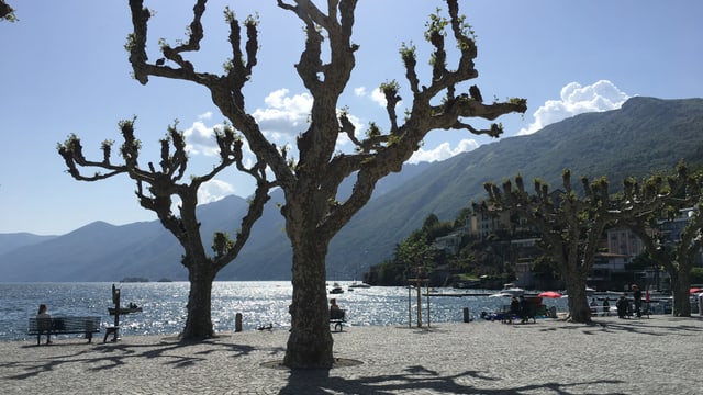 Sonnige Strandpromendade in Ascona. Sonnige Strandpromendade in Ascona.