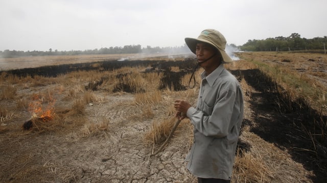 Im dürregeplagten Mekong-Delta. Im dürregeplagten Mekong-Delta.