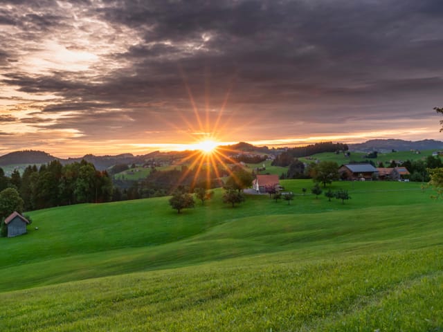 Morgenstimmung
