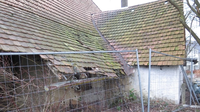 Haus Haus
