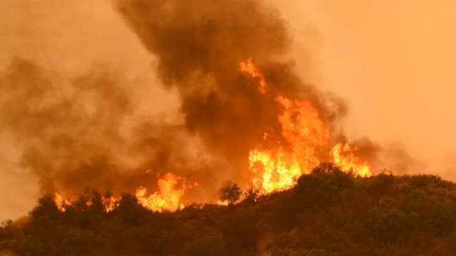 Incendi da frustgaglia e guaud, flommas autas. Incendi da frustgaglia e guaud, flommas autas.