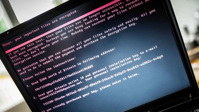 Computer-Bildschirm auf dem eine Fehlermeldung zu sehen ist. Computer-Bildschirm auf dem eine Fehlermeldung zu sehen ist.
