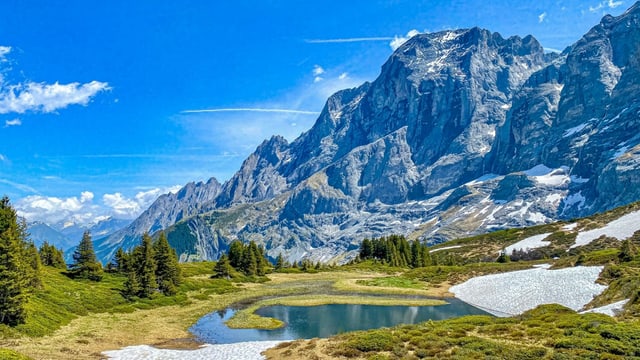 Last snowfields on the Grosse Scheidegg. Last snowfields on the Grosse Scheidegg.