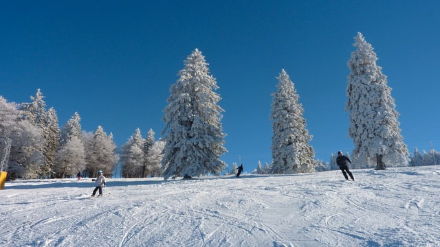 Skipiste mit viel Schnee. Skipiste mit viel Schnee.