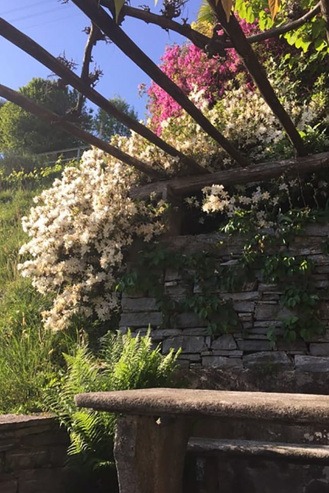 Steinbank mit Blumen.