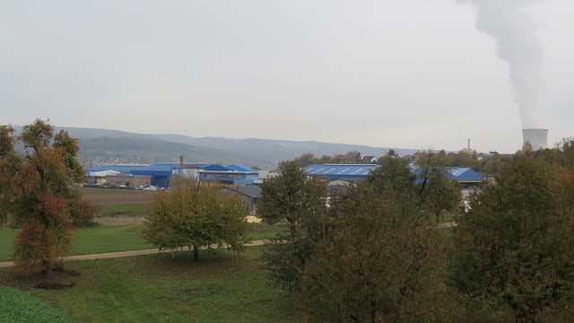 Kuratle Kuratle