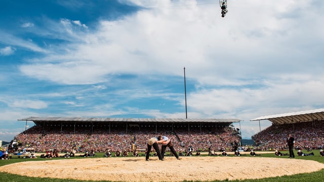 SRF überträgt 18 Stunden live vom Eidgenössischen Schwing- und Älplerfest 2019 in Zug. SRF überträgt 18 Stunden live vom Eidgenössischen Schwing- und Älplerfest 2019 in Zug.